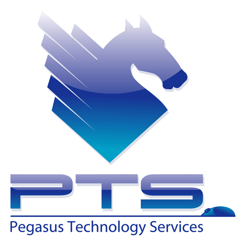Pegasus Technology Services logo