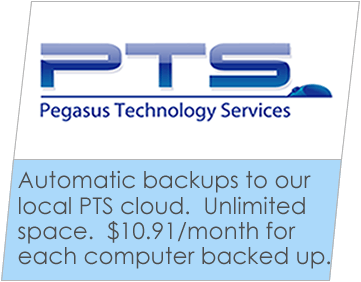 PTS Pegasus Technology Services logo
